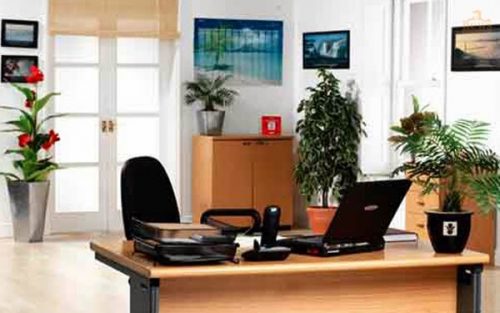 Phong thuỷ phòng làm việc cho người sinh năm 1981