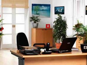 Phong thuỷ phòng làm việc cho người sinh năm 1981